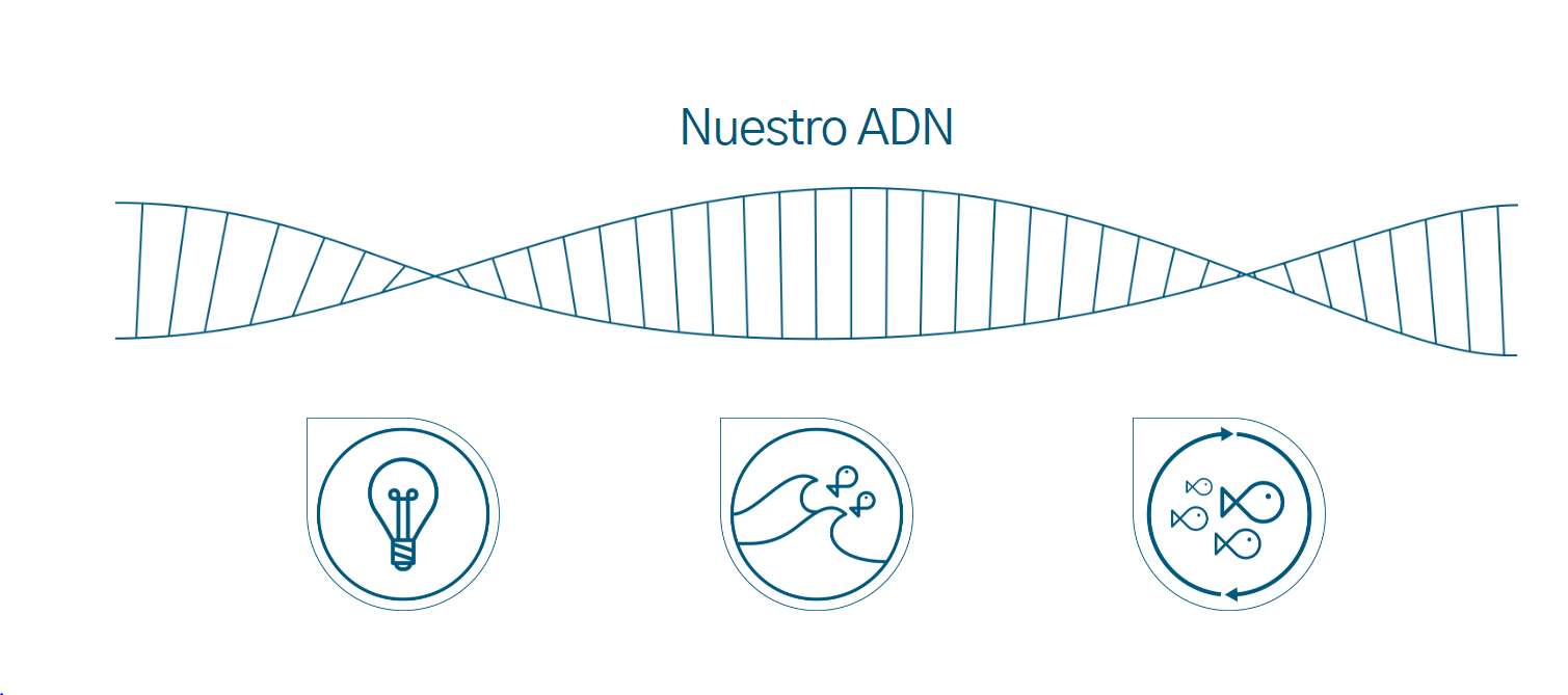 Grupo Nueva Pescanova – “NUEVA PESCANOVA OPEN INNOVATION”