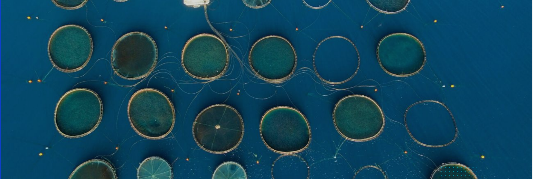 Levantina Fish Ltd - Integration of Marine Renewable Energy Source(s) at Levantina Fish Feeding Platforms