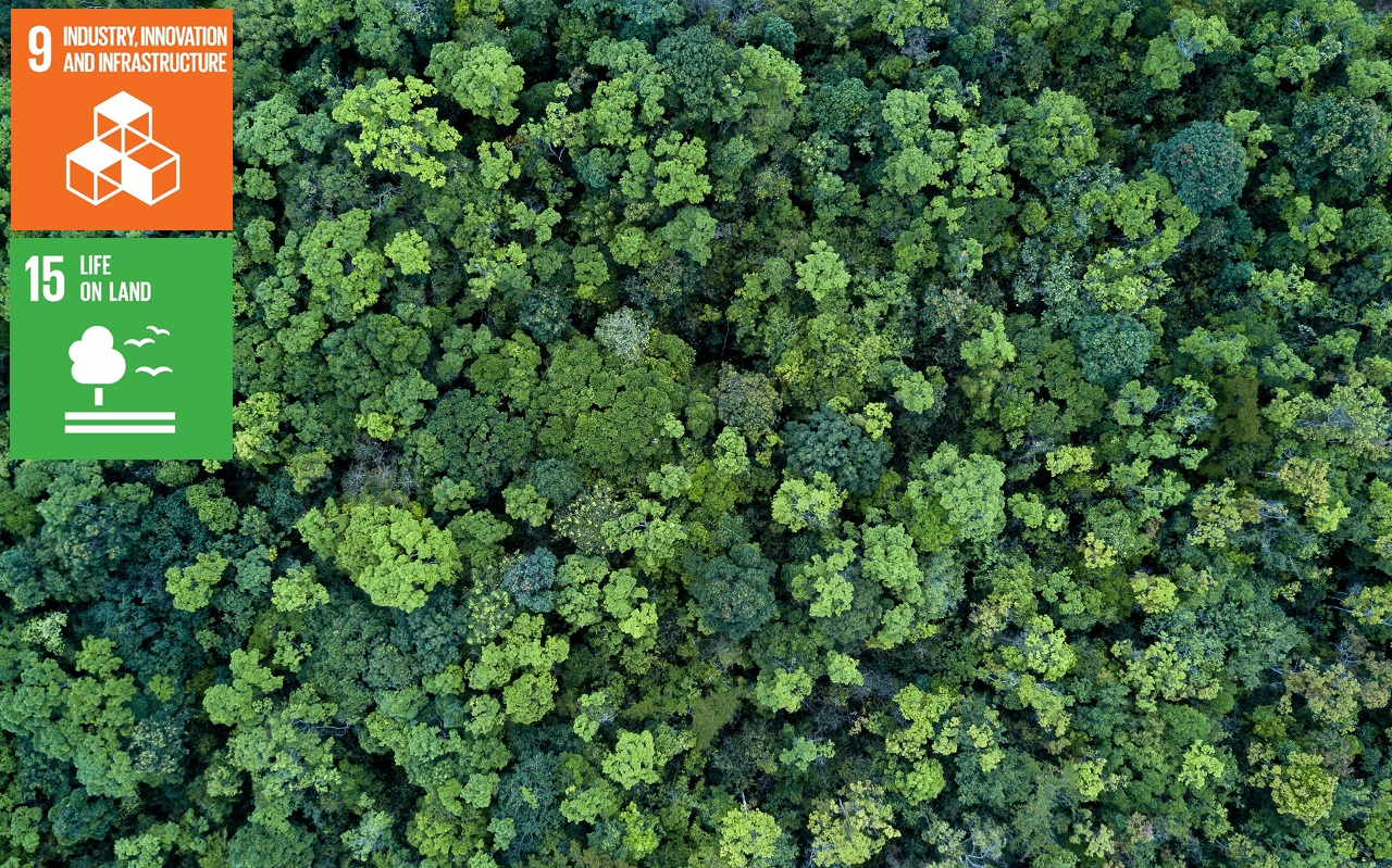 Enel - IA para el reconocimiento de vegetación protegida